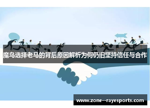 魔鸟选择老马的背后原因解析为何仍旧坚持信任与合作